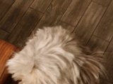 20150507_200016.jpg