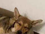 20150507_200134.jpg