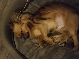 20150507_212348.jpg