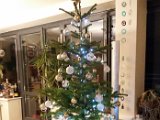 20151223_201437.jpg