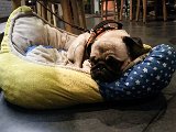 20151227_210256.jpg
