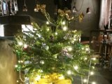20151227_210336.jpg