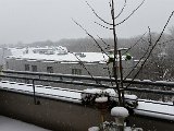 20160106_120850.jpg