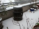 20160106_120903.jpg
