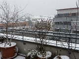 20160106_120931.jpg