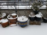 20160106_120944.jpg