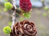 20210409_171121.jpg