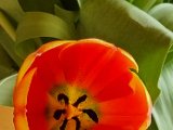 20210424_161207.jpg