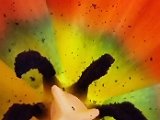 20210424_161232.jpg