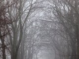 IMG_0933.jpg