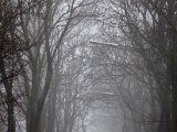 IMG_0935.jpg