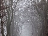 IMG_0936.jpg