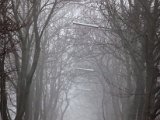 IMG_0938.jpg