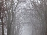 IMG_0944.jpg