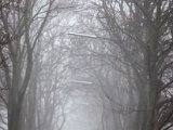 IMG_0957.jpg