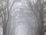 IMG_0961.jpg