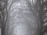 IMG_0963.jpg