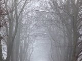 IMG_0966.jpg