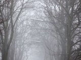 IMG_0967.jpg