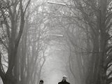 IMG_0940.jpg