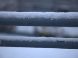 IMG_1131.CR2