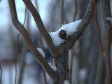 IMG_1140.CR2