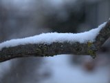 IMG_1143.CR2