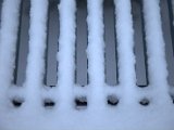 IMG_1152.CR2