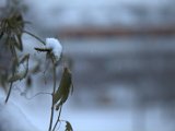 IMG_1157.CR2