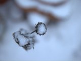IMG_1166.CR2