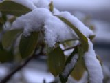 IMG_1182.CR2