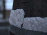 IMG_1190.CR2