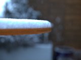 IMG_1202.CR2