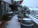 IMG_1213.CR2
