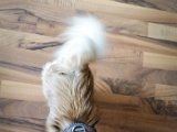 20160228_161736.jpg