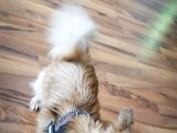 20160228_161752.jpg