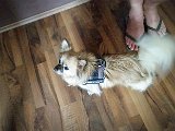 20160228_161905(0).jpg