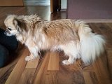 20160228_162547.jpg