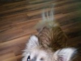 20160228_163127.jpg