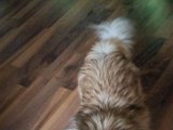 20160228_163145.jpg