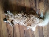 20160228_163222.jpg