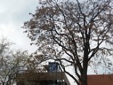 20160325_132310.jpg
