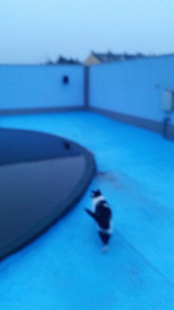 20160325_183005