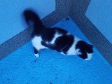20160325_183053.jpg