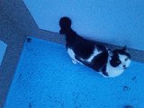 20160325_183111.jpg