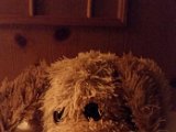 20160326_002649.jpg