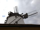 IMG_4414.CR2