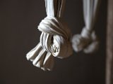 IMG_4443.CR2