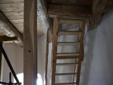 IMG_4452.CR2