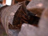 IMG_4590.CR2